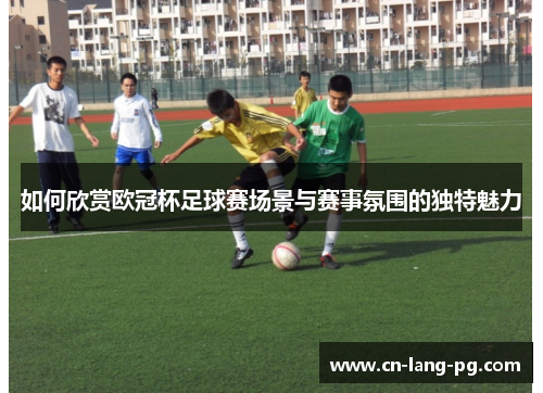 如何欣赏欧冠杯足球赛场景与赛事氛围的独特魅力