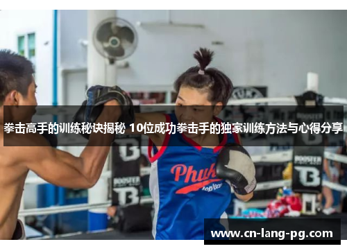 拳击高手的训练秘诀揭秘 10位成功拳击手的独家训练方法与心得分享